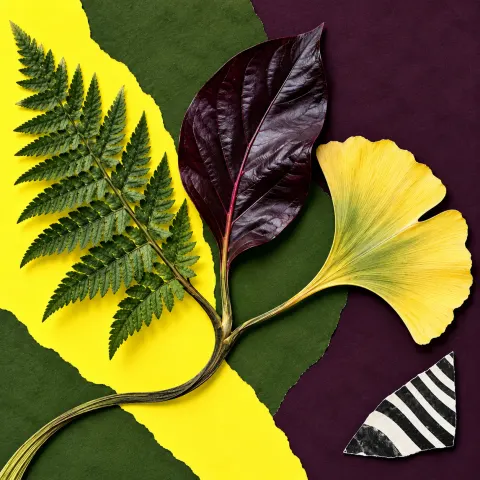 A fern, an aubergine leaf, and a yellow ginkgo fan share one branching stem across torn moss, lemon, and plum paper; a striped triangular scrap sits apart.